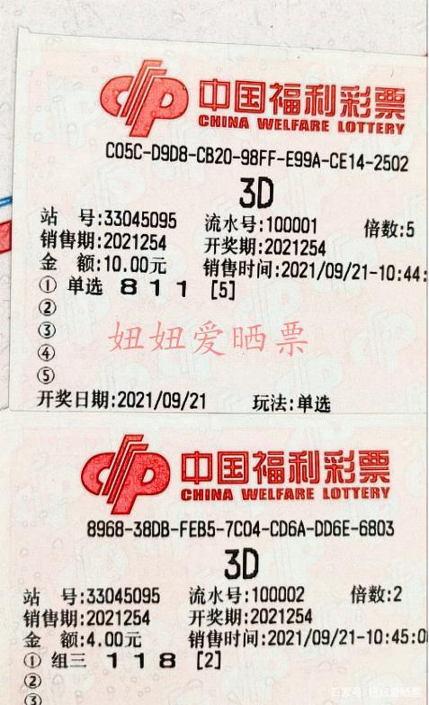 福彩3D新手入门指南，资料大全与必备知识