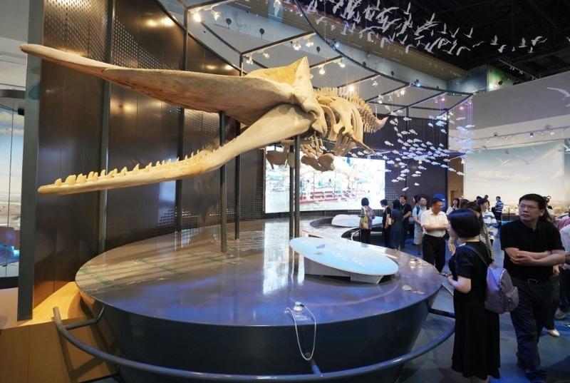 福彩3D资料宝库，实用查询入口大全